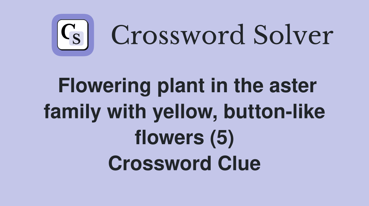 Flowering plant in the aster family with yellow, button-like flowers (5